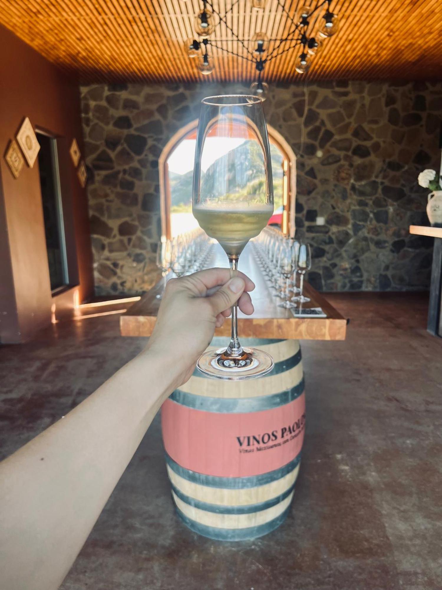 Villa Montefiori Valle de Guadalupe Ngoại thất bức ảnh